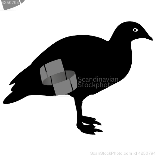 Image of Silhouette bird goose on a white background