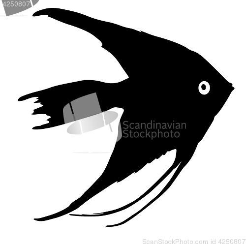 Image of Black silhouette of aquarium fish on white background