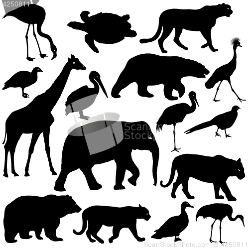 Image of Silhouette elephant tiger bear giraffe flamingo pelican goose on a white background