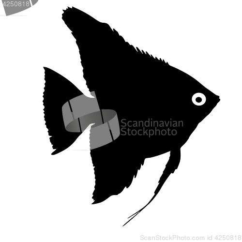 Image of Black silhouette of aquarium fish on white background