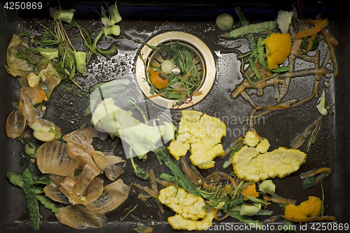 Image of fresh vegetable scarp in the sink