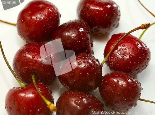 Image of Wet cherry.