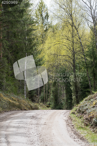 Image of Gravel road curve at spring season