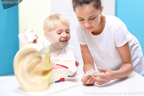 Image of Ear. Joyful student Help scientific model of the human ear.