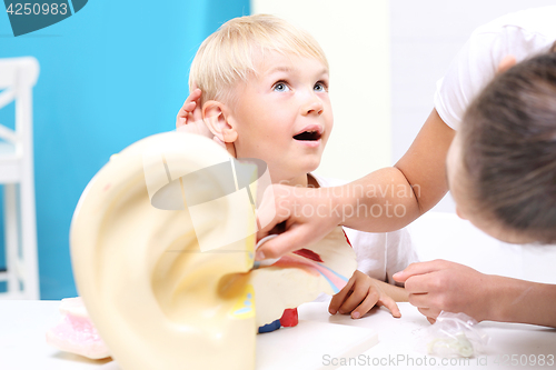 Image of Anatomy of a child on biology lesson. Students anatomy lesson.