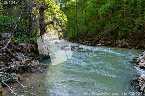 Image of Mountain river