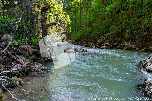 Image of Mountain river