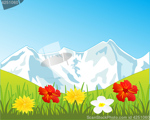 Image of Snow mountains and glade with flower