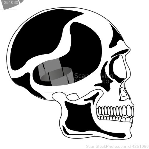 Image of Skull of the person
