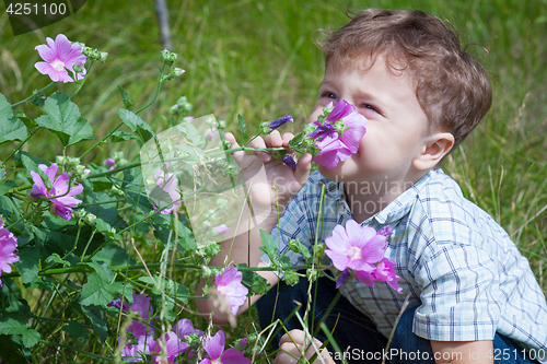 Image of portrait of a little boy with wildflowers