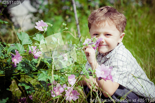 Image of portrait of a little boy with wildflowers