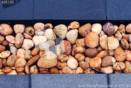 Image of Pebbles