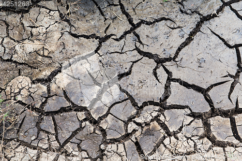 Image of dry cracked ground surface