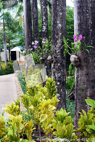 Image of Garden path