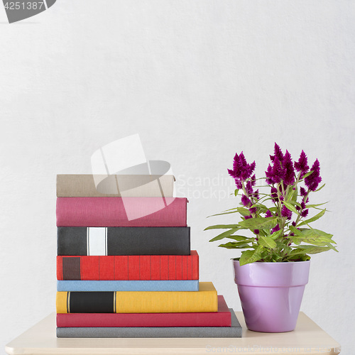 Image of stack of books and flowers in the pot on the table