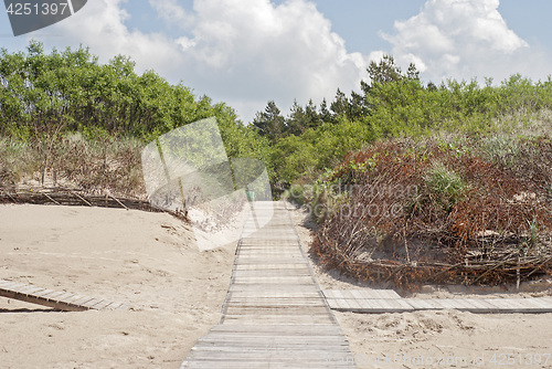 Image of Wooden plank path at the beach