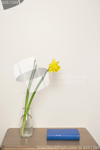 Image of Yellow narcissus in vase and blue book