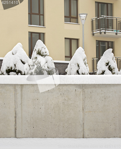 Image of snow covered cement wall, bushes and ground