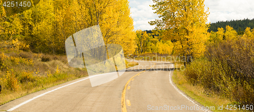 Image of Open Road Scenic Journey Two Lane Blacktop Highway