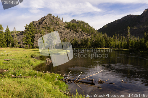 Image of Madison River Flows Through Yellowstone West Side Entrance 