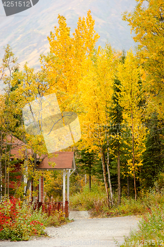 Image of Red Porch Yellow Leaves Autumn Fall Season Alaska