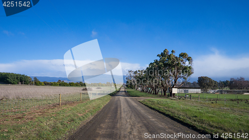 Image of Rural road in Tasmania