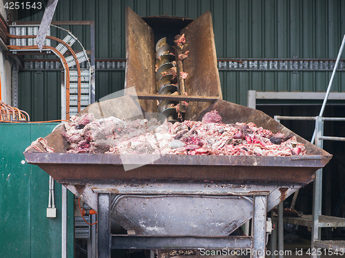 Image of Abattoir byproducts for processing.