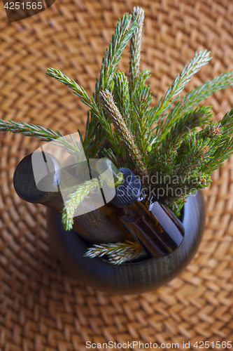 Image of pine tree massage oil