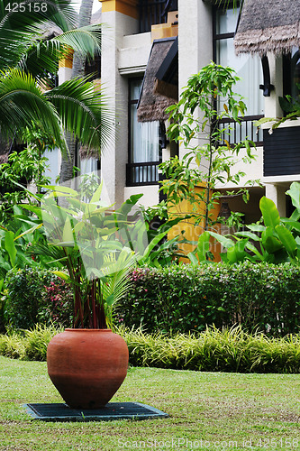 Image of Tropical garden