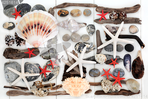 Image of Natural Driftwood, Seashells and Rocks 