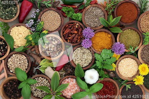 Image of Herb and Spice Sampler