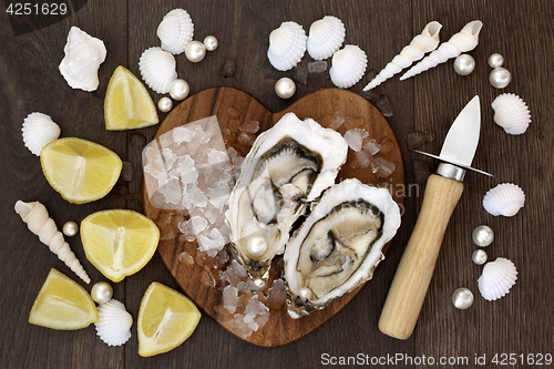 Image of Fresh Oysters on Ice