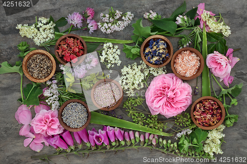 Image of Healing Herbs and Flowers 
