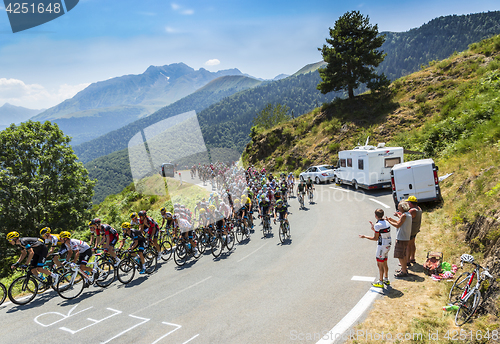 Image of The Peloton on Col d'Aspin - Tour de France 2015