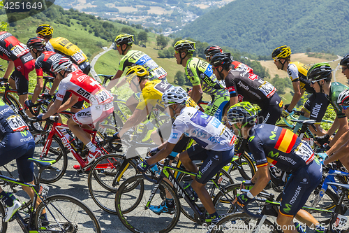 Image of The Fight Inside the Peloton - Tour de France 2015