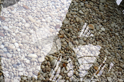 Image of Water garden