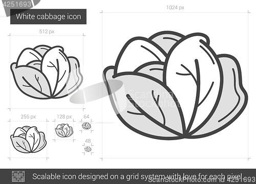 Image of White cabbage line icon.