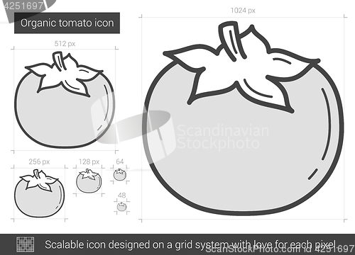 Image of Organic tomato line icon.