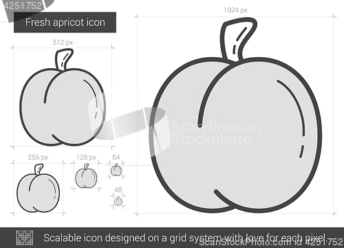 Image of Fresh apricot line icon.