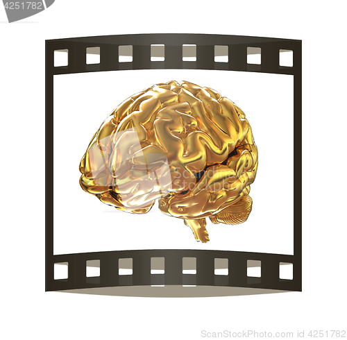 Image of Gold brain. 3d render. The film strip