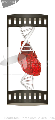 Image of DNA and heart. 3d illustration. The film strip