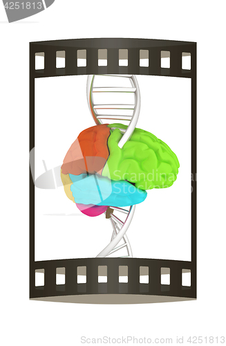 Image of Brain and dna. 3d illustration. The film strip