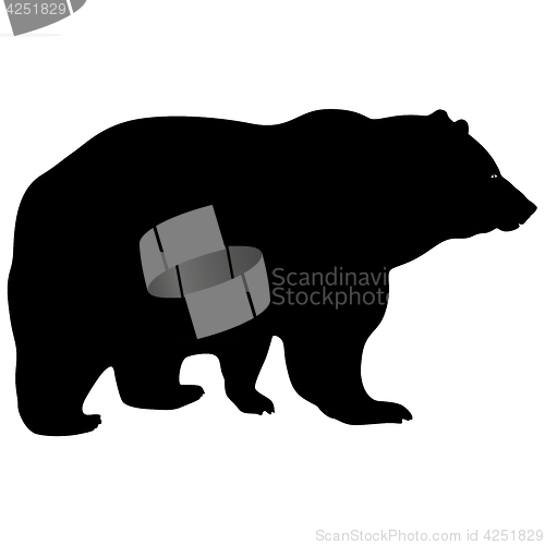 Image of Silhouette brown bear on a white background