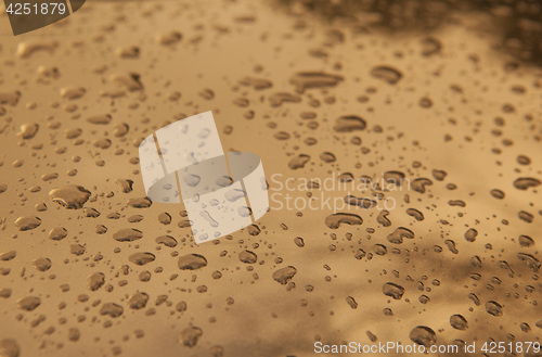 Image of Drops of water on glass