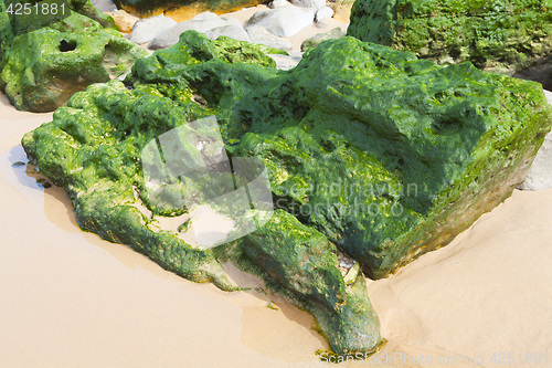 Image of Green stones on the seashore