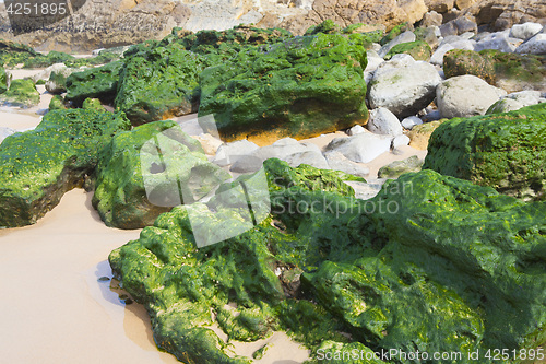 Image of Green stones on the seashore