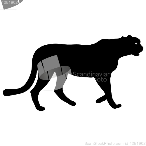 Image of Silhouette beautiful jaguar on a white background