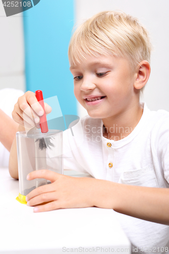 Image of School. Magnetism, attraction. The child sees the phenomenon of magnetic field on the lessons of physics.