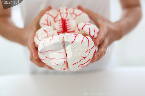 Image of Exercise your brain. A child holds in his hands a model of the human brain.