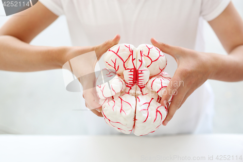 Image of Construction of the brain.